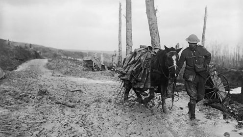 GettyImages-154448232_mud.jpg