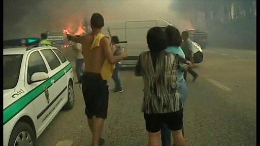 ポルトガル山火事で61人死亡 3日間の服喪 cニュース