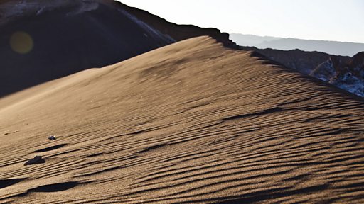 barniz del desierto