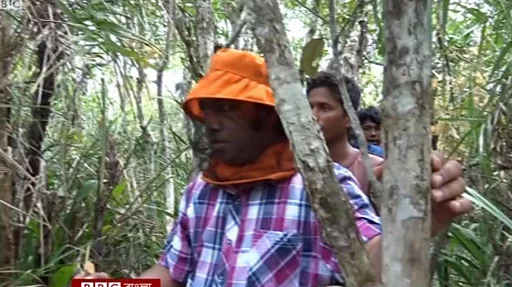 Er va dost xotinini sevadi porno video Ustalar bilan porno kanizalar