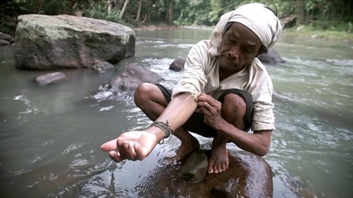 Masalah Kesehatan Intai Suku Baduy Dalam Kaki Membusuk Tak Ada Bidan Negara Gagal Memenuhi Hak Dasar Warga c News Indonesia