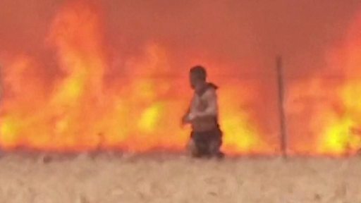 スペインの男性 山火事から命からがら避難 cニュース