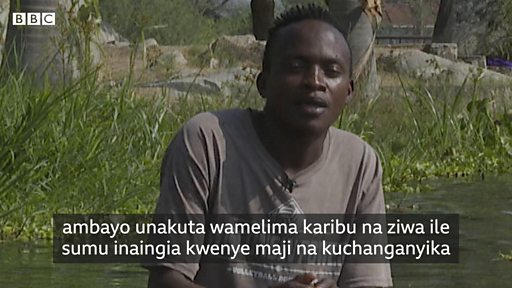 Shughuli Za Kilimo Zinavyohatarisha Ikolojia Ya Ziwa Victoria Bbc News Swahili