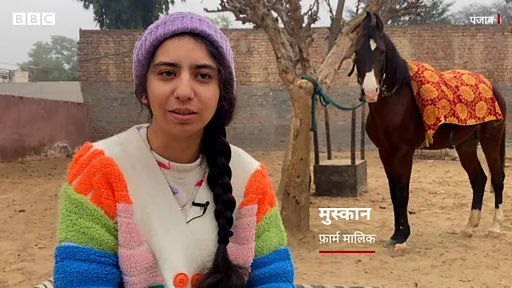 घोड़ा Lakdi Ki Kathi Song Nursery Rhymes Lakdi Cartoon Nani