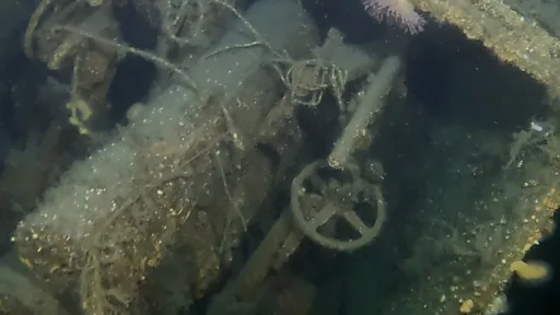 Lost wreck of WW1 ship HMS Hawke found in 'remarkable' condition - BBC News