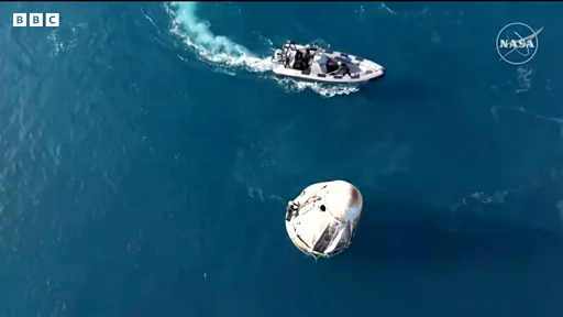 K氏 フリーダムボール イルカ 置物 宙氏 K氏 フリーダムボール イルカ 置物 宙氏