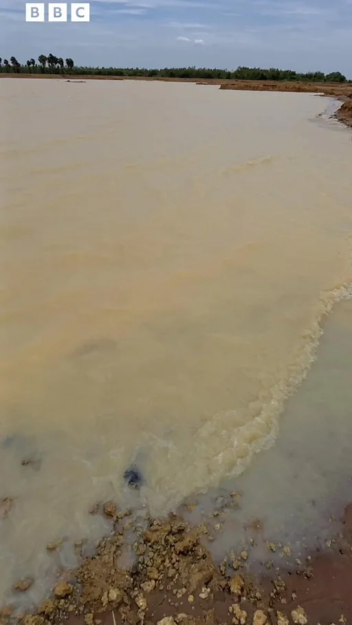 p0lshdm8.jpg.webp