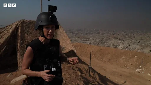 Mushukning ichida nima bor?