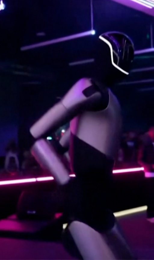 Xonanda Ruslana ozining pornografik tasvirlarini namoyish etdi.