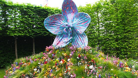 BBC Two - RHS Chelsea Flower Show, 2013, In Pictures: The RHS Chelsea ...