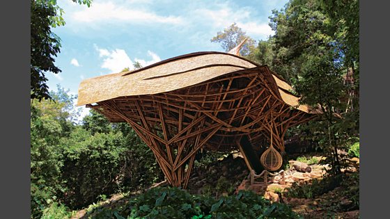 BBC Radio 4 - Open Book, Julian Barnes - Keeping an Eye Open ...