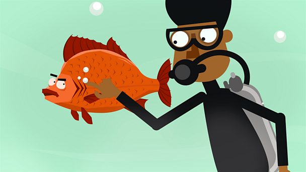 KS1 Science England BBC Bitesize