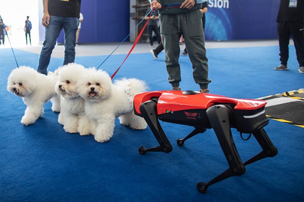 Mandarin: Talking about yourself and your family - Year 5/6 &amp; P6/7