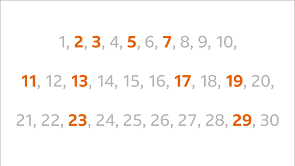 What is a prime? - BBC Bitesize