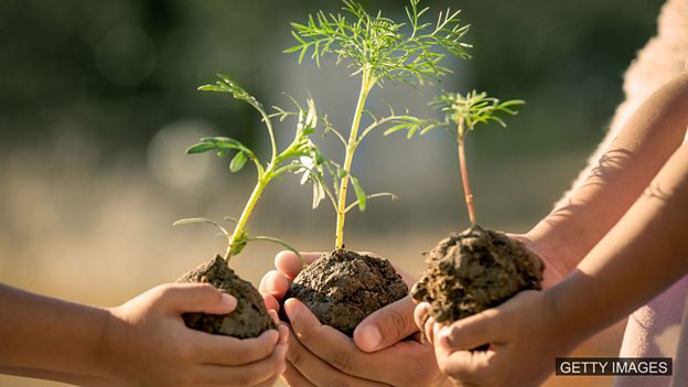 c Learning English 今日短语 Green Fingers 园艺技术高超