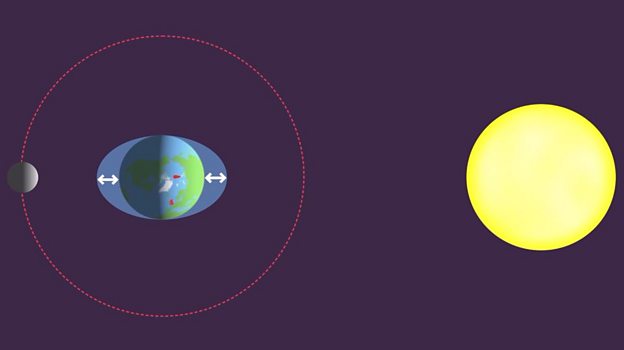 What are tides guide for KS3 physics students - BBC Bitesize