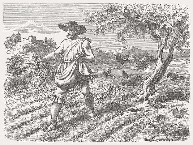 The parable of the sower of seed - The Kingdom of God - CCEA - GCSE ...