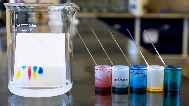 chromatography experiment bbc bitesize