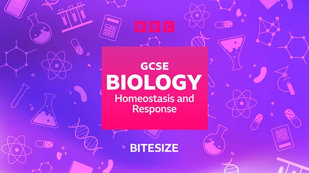 GCSE Biology (Single Science) - AQA - BBC Bitesize