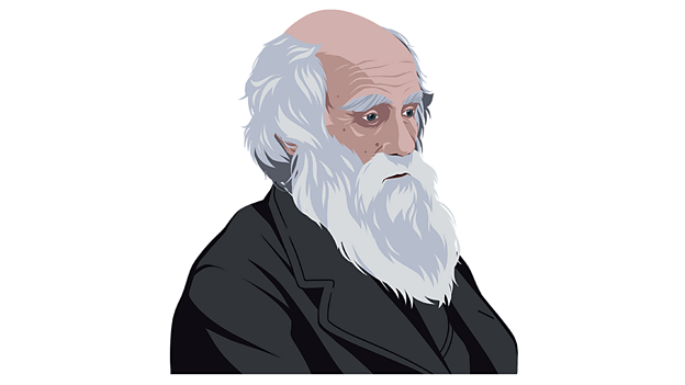 What is evolution? – KS2 Science curriculum - BBC Bitesize