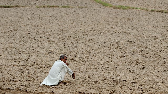 Bbc World Service More Or Less Indian Farmer Suicides 4087