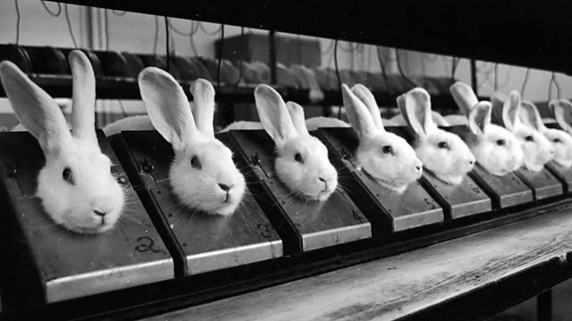 BBC Radio 4 - In Our Time, Animal Experiments and Rights