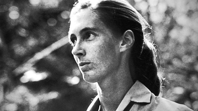 Jane Goodall: Beauty and the Beasts