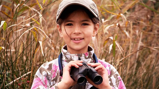 Twitchers: A Very British Obsession