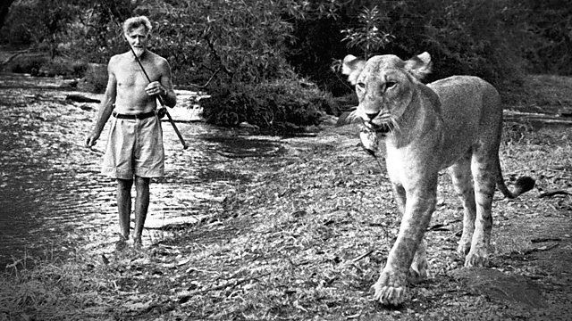Elsa: The Lioness that Changed the World