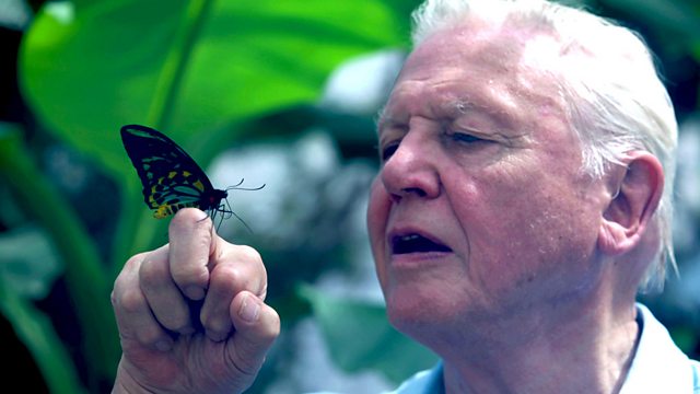 Attenborough's Ark: Natural World Special