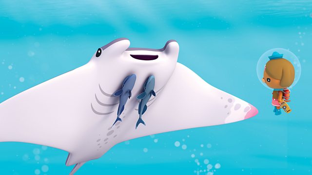 spongebob the manta ray