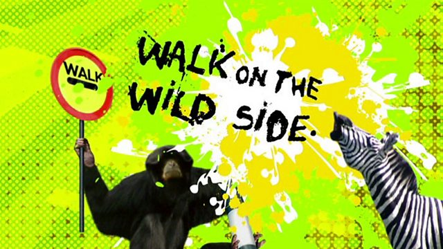 Walk on the wild side. Wildside bbc. Various – on the Wild Side.