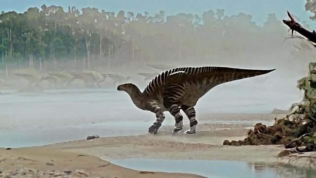 Iguanadon Footprint ‹ Andy'S Dinosaur Adventures