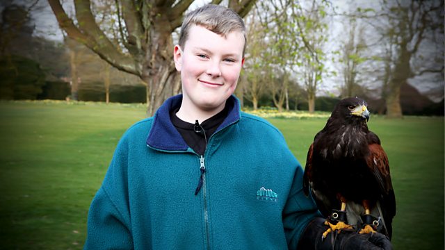 Banned Breeds, a Fire Detection Dog and a Harris Hawk