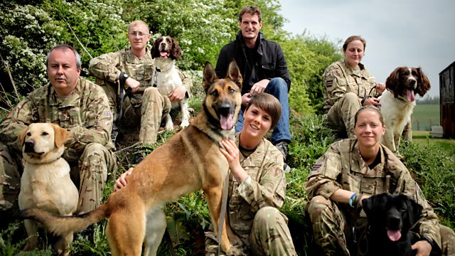 BBC - WW1 Uncut, Dogs &amp; Other Animals