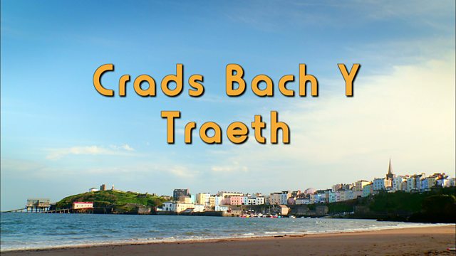 Crads Bach y Traeth