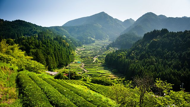 BBC Two - Japan: Earth's Enchanted Islands - Honshu