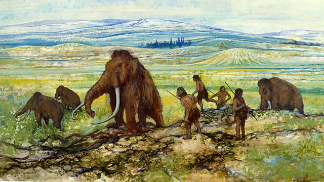 BBC Radio 4 Natural Histories, Mammoths, Did humans hunt