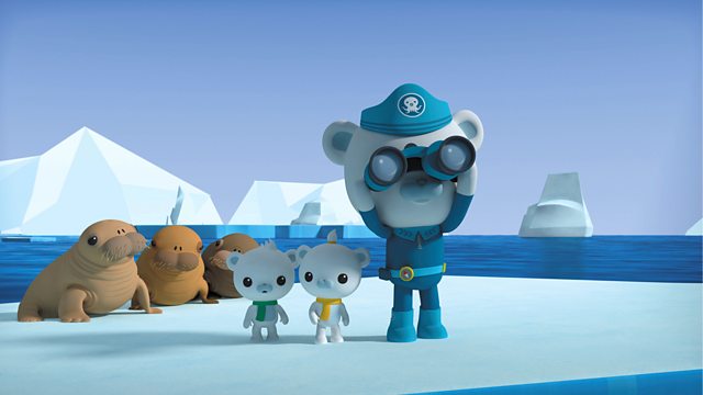 Octonauts and the Walrus Pups