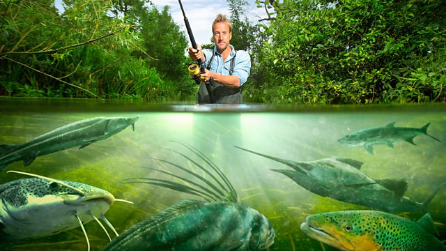 Earth's Wildest Waters: The Big Fish