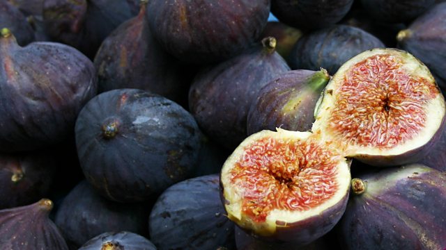 BBC Radio 4 Extra - Peter Regent - Figs