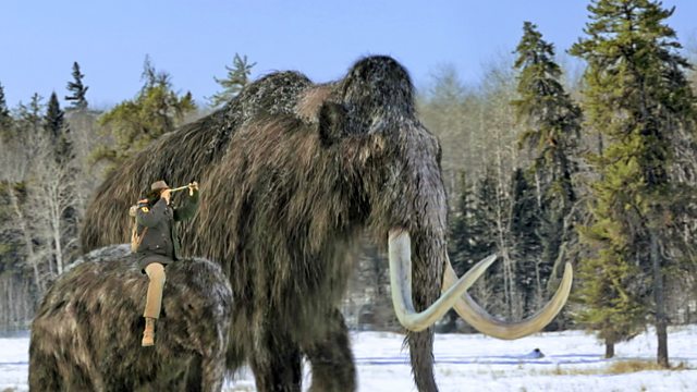 Woolly Mammoth and Ice
