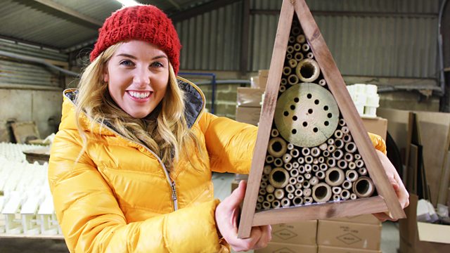 Hamster Wheel and Insect Hotel
