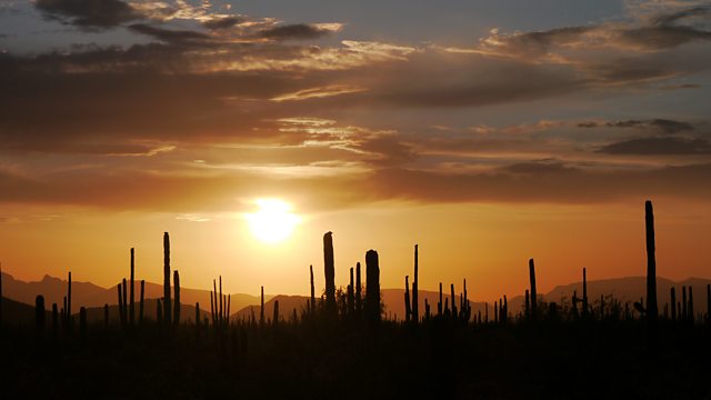 Wild West - America's Great Frontier