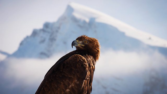 Bbc One Planet Earth Ii Mountains