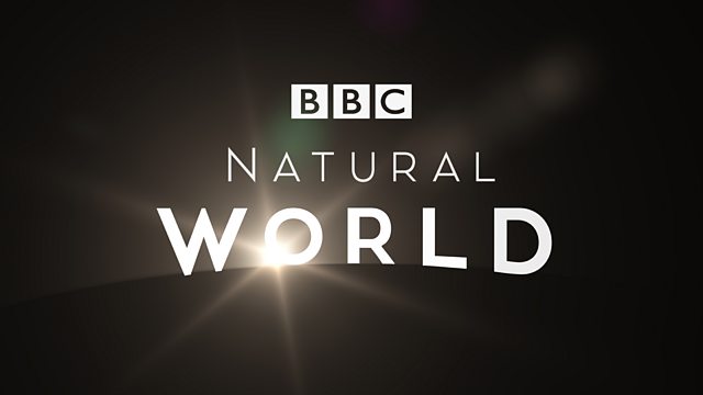 BBC Two - Natural World, Satoyama: Japan's Secret Watergarden