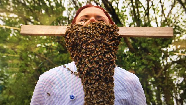 Beard of Bees!