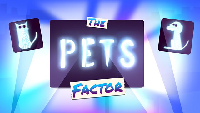 The Pets Factor