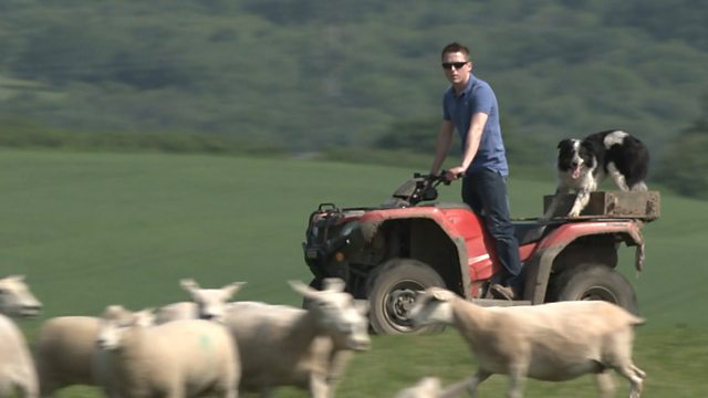 Britain's Food & Farming: The Brexit Effect