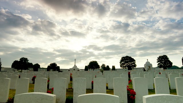 In Flanders Fields